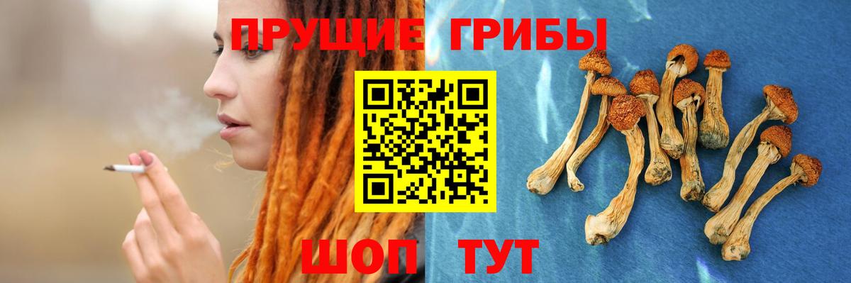 Галлюциногенные грибы мухоморы Рузаевка